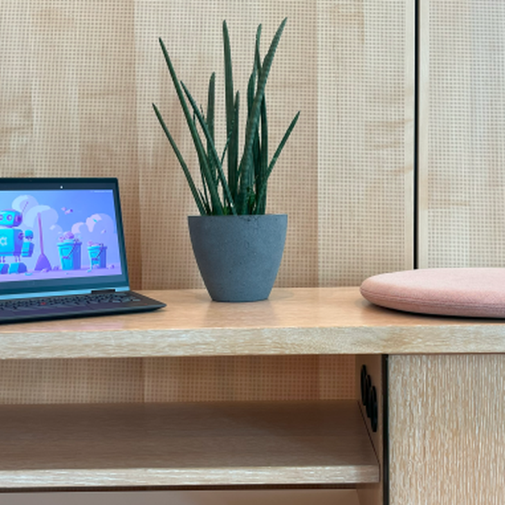 Offener Laptop neben grüner Pflanze